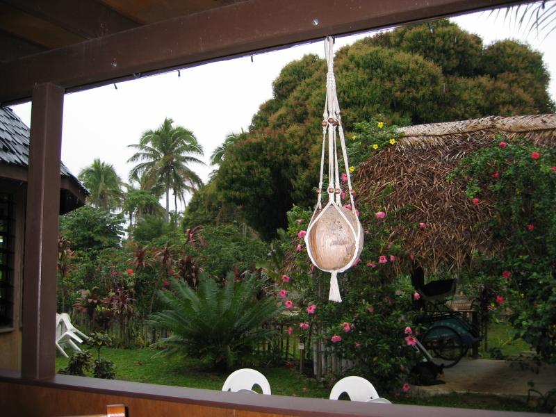 I'm beginning to wonder if they produce anything other than coconuts
Click for photo quality image
Warning photo quality image size is 636K
