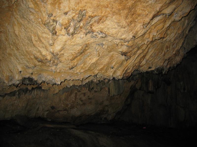 IMG_0157
Click for photo quality image�
Warning photo quality image size is 536K