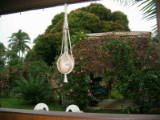 Taken while we were having breakfast, hoping the rain might break
Image taken at 08:49 on Jul 22 2003
Photo quality image geometry 1600x1200
Photo quality image size 725K