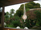 I'm beginning to wonder if they produce anything other than coconuts
Image taken at 08:50 on Jul 22 2003
Photo quality image geometry 1600x1200
Photo quality image size 636K