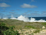IMG_0073
Image taken at 11:26 on Jul 24 2003
Photo quality image geometry 2272x1704
Photo quality image size 1.0M