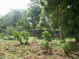 IMG_0135
Image taken at 11:43 on Jul 25 2003
Photo quality image geometry 1600x1200
Photo quality image size 1.0M
