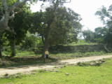 IMG_0136
Image taken at 11:44 on Jul 25 2003
Photo quality image geometry 1600x1200
Photo quality image size 942K