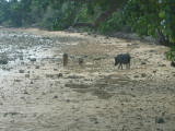 IMG_0142
Image taken at 12:08 on Jul 25 2003
Photo quality image geometry 2272x1704
Photo quality image size 932K