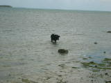 IMG_0143
Image taken at 12:11 on Jul 25 2003
Photo quality image geometry 2272x1704
Photo quality image size 974K