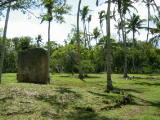 IMG_0148
Image taken at 12:30 on Jul 25 2003
Photo quality image geometry 2272x1704
Photo quality image size 1.8M