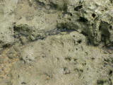 IMG_0253
Image taken at 12:12 on Jul 29 2003
Photo quality image geometry 2272x1704
Photo quality image size 1.6M