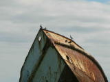 IMG_0264
Image taken at 15:01 on Jul 29 2003
Photo quality image geometry 2272x1704
Photo quality image size 453K