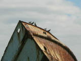 IMG_0267
Image taken at 15:03 on Jul 29 2003
Photo quality image geometry 2272x1704
Photo quality image size 427K