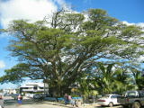 Raintree Square, just outside the Post Office.
Image taken at 11:28 on Jul 30 2003
Photo quality image geometry 2272x1704
Photo quality image size 1.8M